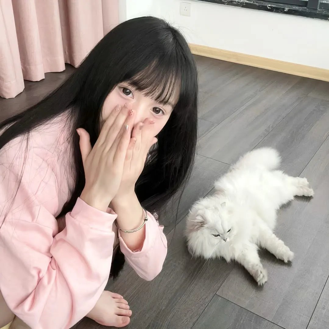 居无定所